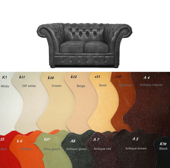 Bestellung Windchester 2 sitzer Ledersofa in anderen Farben